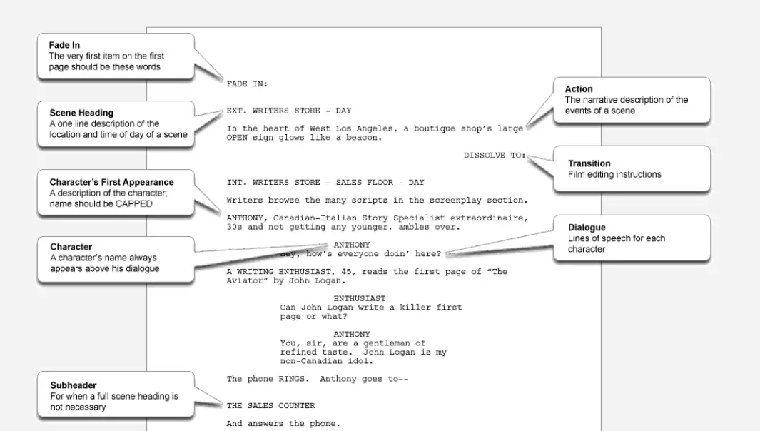 Top 5 Script writing examples